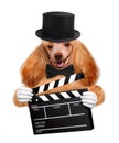 Movie clapper board director dog. Royalty Free Stock Photo