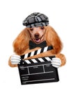 Movie clapper board director dog. Royalty Free Stock Photo