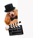 Movie clapper board director dog. Royalty Free Stock Photo