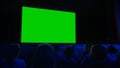 In the Movie Theater Captivated Audience Watching New Blockbuster Film on Mock-up Green Screen. Pe Royalty Free Stock Photo