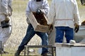 Moving Bee Hives Royalty Free Stock Photo