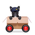 Moving box dog Royalty Free Stock Photo