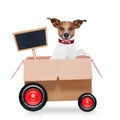 Moving box dog Royalty Free Stock Photo