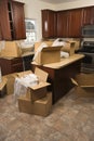 Moving boxes in kitchen. Royalty Free Stock Photo