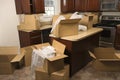 Moving boxes in kitchen. Royalty Free Stock Photo