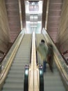 Moving escalators Royalty Free Stock Photo