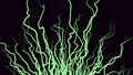 Moving growing roots on black background. Animation. Abstract animation of branching roots like live vines on black