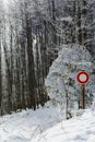 Moving interdict road sign in winter forest Royalty Free Stock Photo