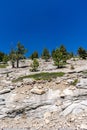 Moving Mountains Rocks and Trees