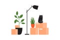 Moving into new house concept with carton boxes with stuff, lamp, houseplants and cat