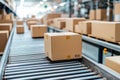 Cardboard Boxes on Conveyor in Modern Warehouse Royalty Free Stock Photo