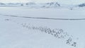 Moving penguins colony. Antarctica aerial. Royalty Free Stock Photo