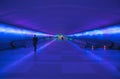 Moving sidewalks and a changing light show in the tunnel of the Detroit Airport, Detroit, Michigan Royalty Free Stock Photo