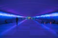 Moving sidewalks and a changing light show in the tunnel of the Detroit Airport, Detroit, Michigan