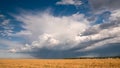 Moving thundercloud over a wheat field