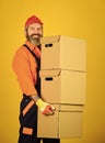 Moving to new apartment. happy man cardboard box. carrying boxes inside the building. unpacking moving boxes. new house Royalty Free Stock Photo