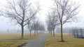 A moving truck in the public park on a foggy morning