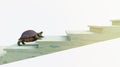 Moving turtle wants to climb on the stairs concept composition Royalty Free Stock Photo