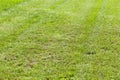 mow grass lawn Royalty Free Stock Photo