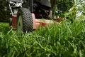 Mow lawn low angle of lawnmower cutting grass. Royalty Free Stock Photo