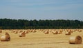 Mowed cereal field with straw rolls Royalty Free Stock Photo