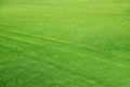 Mowed Football ground, green lawn background Royalty Free Stock Photo