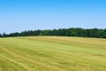 Mowed green grass field with forest