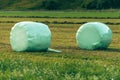 Mowed meadow grass rolled and packed in plastic wrapping as animal fodder, scene from slovenian countryside