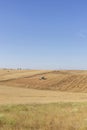 Mower agricultural machine working mowing and harvesting wheat