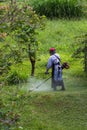 Mowing in Costa Rica