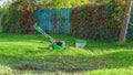 Garden lawn mower cutting grass on background of dark blue wooden fence lush covered ivy. Royalty Free Stock Photo