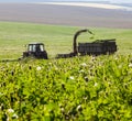 Mowing the grass in the field Royalty Free Stock Photo