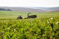 Mowing the grass in the field Royalty Free Stock Photo