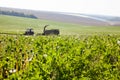 Mowing the grass in the field Royalty Free Stock Photo