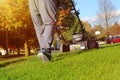 Mowing the grass with a lawn mower in sunny autumn. Gardener cuts the lawn in the garden