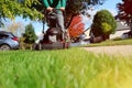 Mowing the grass with a lawn mower in sunny autumn. Gardener cuts the lawn in the garden