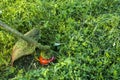 Mowing green wild grass field using brush cutter mower or power tool string lawn trimmer. To mow a grass with the trimmer. Royalty Free Stock Photo