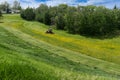 Mowing lawn grass in city park open area Royalty Free Stock Photo