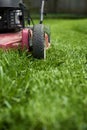 Mowing lawn. Low angle cutting grass Royalty Free Stock Photo
