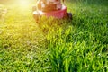 Mowing a lawn with a old style petrol gasoline lawnmower. Red lawn mower cutting grass . Gardening concept background Royalty Free Stock Photo