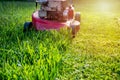 Mowing a lawn with a old style petrol gasoline lawnmower. Red lawn mower cutting grass . Gardening concept background Royalty Free Stock Photo