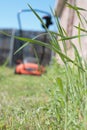 Push Lawn Mower Cutting Tall Grass