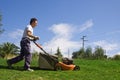 Mowing the meadows