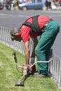 Mowing worker (Piazza Venezia - Roma)