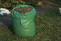 Mown dry grass in green bags garden cleaning