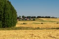 A mown grain field against the background of forests and rural houses