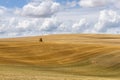 Mown Grain Field with Straw Bales