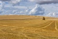 Mown Grain Field Auxerre France