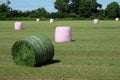 Mown grass field with netted and wrapped round silage bales