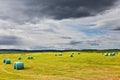 Rural field after harvest